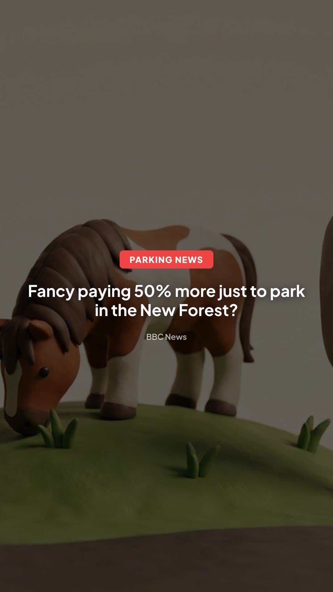 New Forest Parking Charges Rise: What Drivers Will Pay