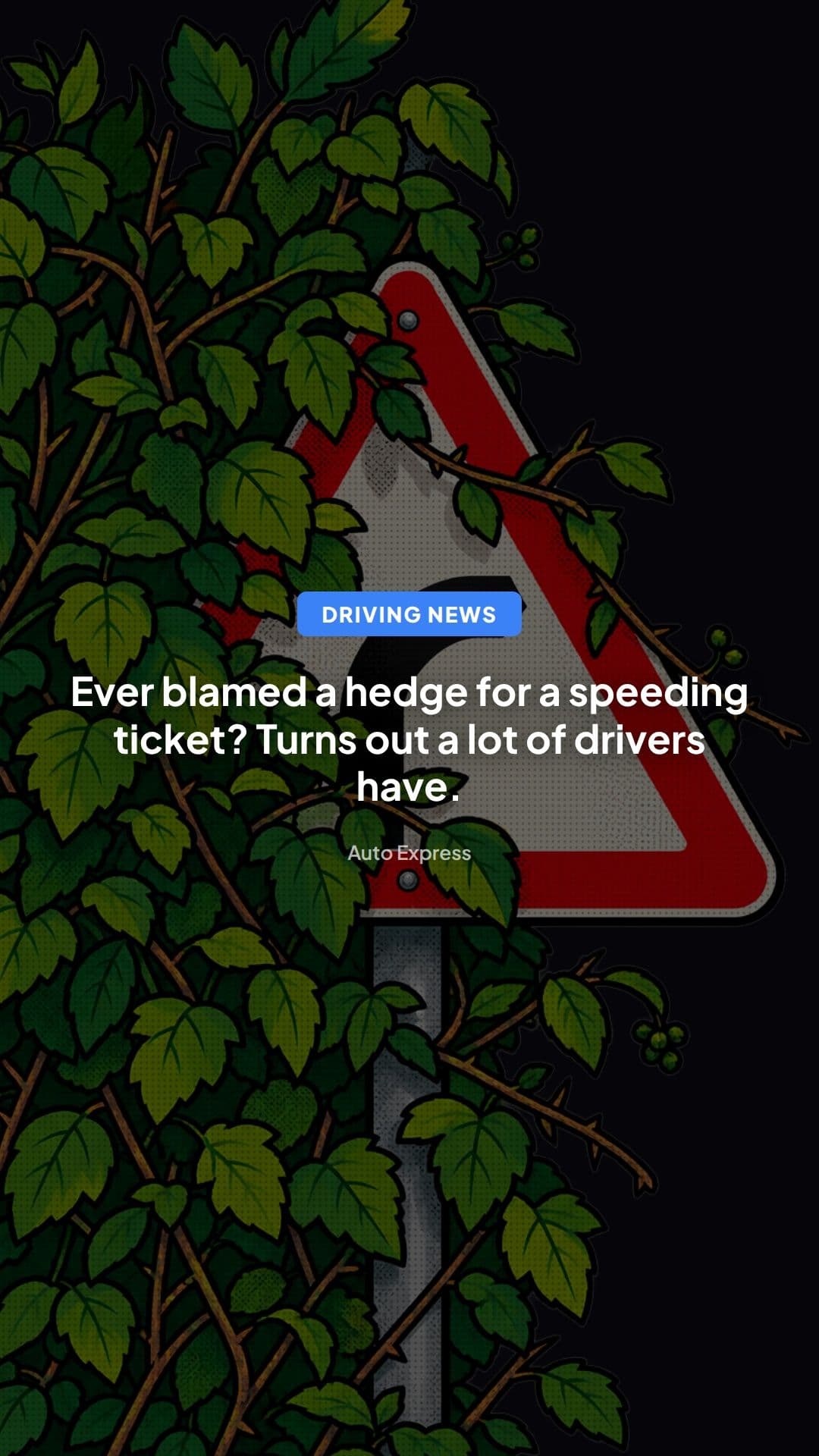 Speeding Fines: Are Overgrown Hedges Hiding Road Signs?